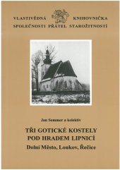 kniha Tři gotické kostely pod hradem Lipnicí Dolní Město, Loukov, Řečice, Unicornis 1999