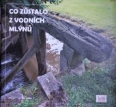 kniha Co zůstalo z vodních mlýnů 2., Přemyslovské střední Čechy 2013