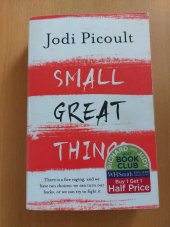 kniha Small great things , Hodder 2017