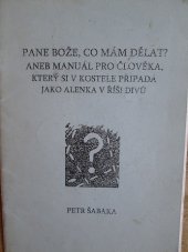 kniha Pane Bože, co mám dělat? aneb Manuál pro člověka, který si v kostele připadá jako Alenka v říši divů 2005