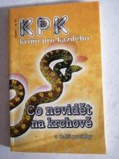 kniha Co nevidět na krchově a další povídky, Enigma 2011