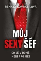 kniha Můj sexy šéf, Fortuna Libri Publishing 2023