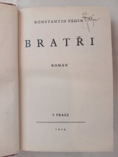 kniha Bratři Román, Ústřední dělnické knihkupectví a nakladatelství, Antonín Svěcený 1929