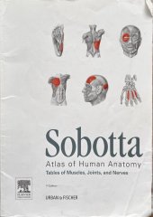 kniha Sobotta - Atlas of Human Anatomy Tables of Muscles, Joints, and Nerves, Elsevier Urban & Fischer 2011