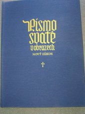 kniha Písmo svaté v obrazech Nový zákon, Rudolf Lapčík vlastním nákladem 1990