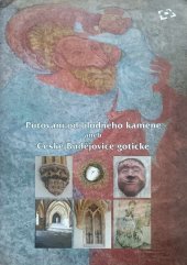 kniha Putování od bludného kamene, aneb, České Budějovice gotické, Národní památkový ústav, územní odborné pracoviště v Českých Budějovicích 2009