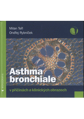 kniha Asthma bronchiale v příčinách a klinických obrazech, Geum 2008