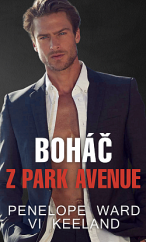 kniha Boháč z Park Avenue , Baronet 2020