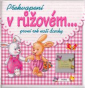 kniha Překvapení v růžovém-- [první rok naší dcerky], Fortuna Libri 2006