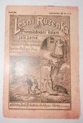 kniha Lesní Růženka aneb Pronásledování kolem celé země, Josef Rubinstein 1889