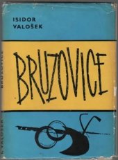 kniha Bruzovice : Obraz života slezské vesnice ve 14. -19. století příspěvek k vlastivědě Frýdecka, Místní národní výbor Bruzovice 1970