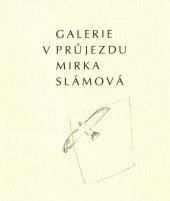 kniha Galerie v průjezdu, Občanské sdružení Šuřka 2004