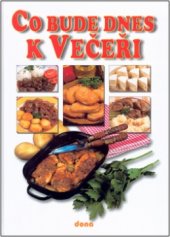 kniha Recepty naší rodiny. 8. ročník, - Co bude dnes k večeři, Dona 2004