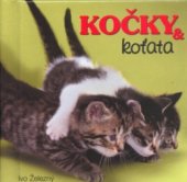 kniha Kočky & koťata, Ivo Železný 2004