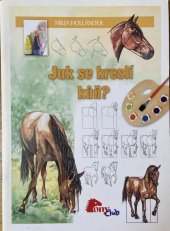 kniha Jak se kreslí kůň?, Stabenfeldt 2007