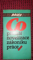 kniha Co přináší novelizace zákoníku práce, Práce 1989