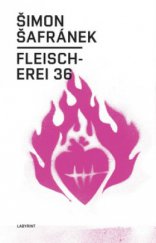 kniha Fleischerei 36, Labyrint 2008