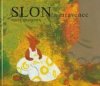 Slon a mravenec