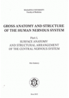 Gross anatomy and structure of the human nervous system