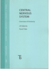 Central nervous system