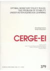 Optimal monetary policy rules: the problem of stability under heterogeneous learning