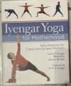 Iyengar Yoga for Motherhood