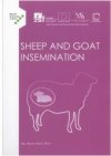 Sheep and Goat Insemination