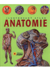 Ilustrovaný atlas anatomie