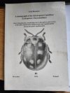 A monograph of the Afrotropical Cassidinae (Coleoptera: Chrysomelidae)