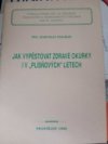 Jak vypěstovat zdravé okurky i v “plísňových” letech 