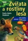 Zvířata a rostliny lesa