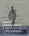 Dějiny české literatury v Protektorátu Čechy a Morava