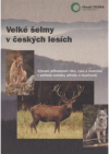 Velké šelmy v českých lesích