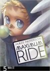 Maximum ride 5