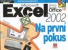 Microsoft Excel 2002