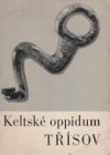 Třísov - keltské oppidum