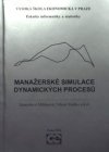 Manažerské simulace dynamických procesů