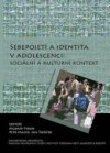 Sebepojetí a identita v adolescenci: sociální a kulturní kontext