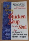 A 3rd Serving Of Chicken Soup For The Soul