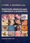 Praktická dermatologie v obrazech a schématech