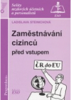 Zaměstnávání cizinců před vstupem ČR do EU