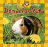 Domácí zvířata