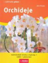 Orchideje