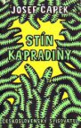 Stín kapradiny