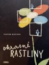 Okrasné rastliny