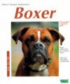 Boxer