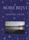 Bore Bejvi