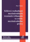 Klíčová rozhodnutí mezinárodních trestních tribunálů ve světle mezinárodního práva