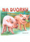 Na dvorku