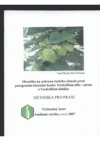 Metodika na ochranu českého chmele proti patogenním kmenům houby Verticillium albo-atrum a Verticillium dahliae